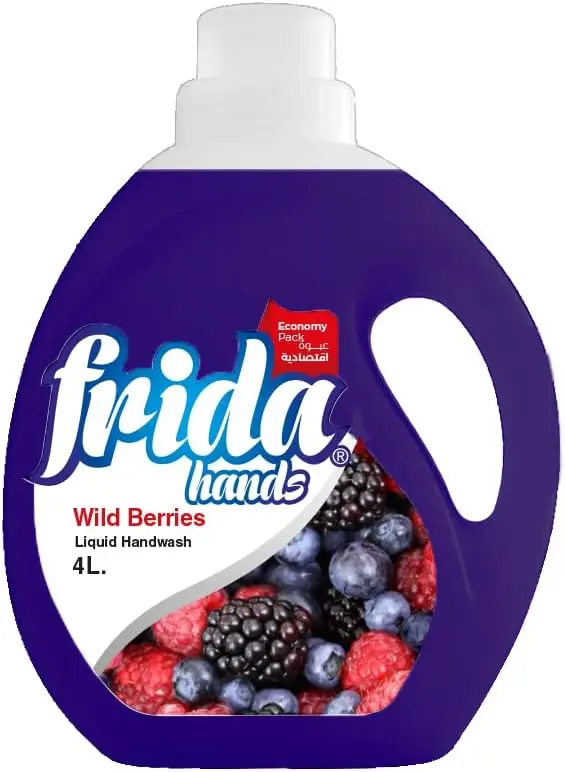 [فريدا هاندووش توت بري 4 لتر] Fridal Hand Wash (4L)