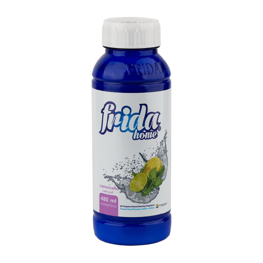 Floor Freshener 480 ml (Fridal)